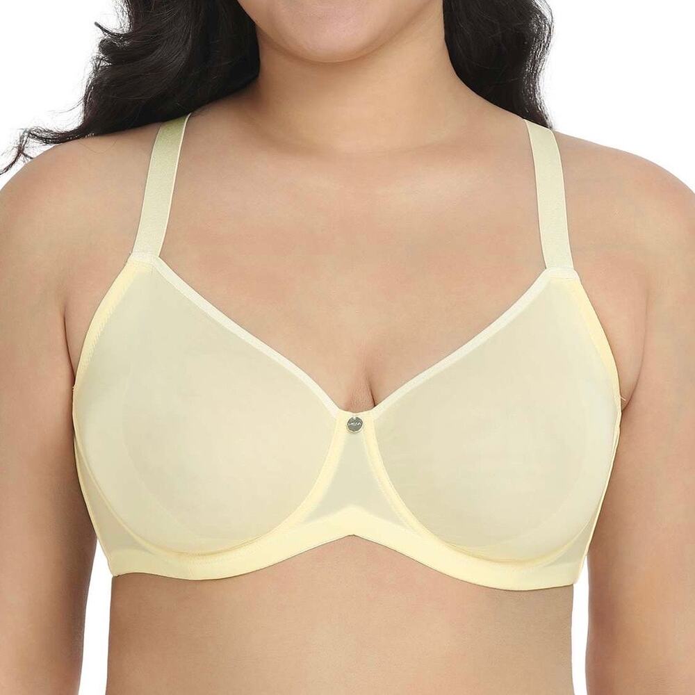 HSIA Marquita Champagne Ultimate Comfort Unlined Mesh Underwire Bra Womens 40DDD - Picture 2 of 9